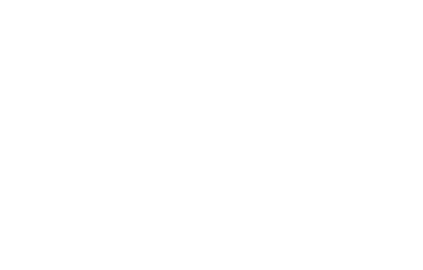Honda South